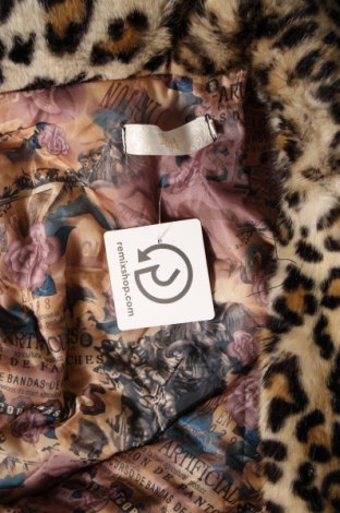 Dámska bunda , Veľkosť M, Farba Viacfarebná, Cena  19,73 €
