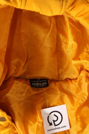 Dámska bunda  Colours Of The World, Veľkosť L, Farba Žltá, Cena  19,73 €
