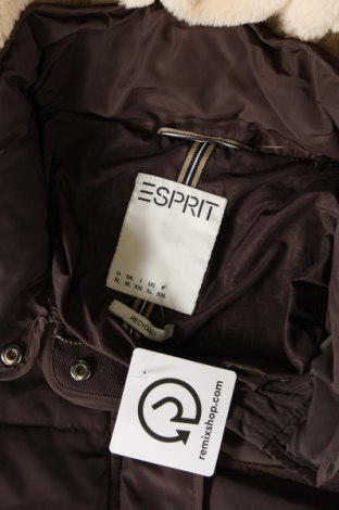 Γυναικείο μπουφάν Espada, Μέγεθος XL, Χρώμα Καφέ, Τιμή 22,25 €