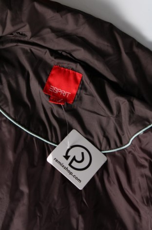 Dámska bunda  Esprit, Veľkosť M, Farba Hnedá, Cena  25,52 €