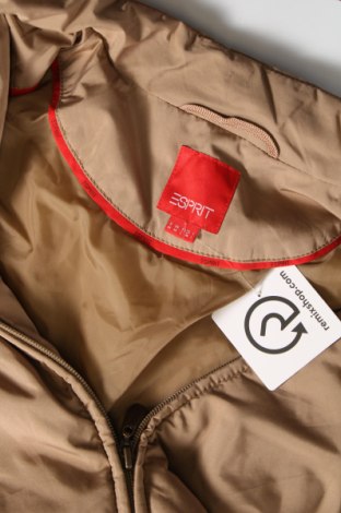 Γυναικείο μπουφάν Esprit, Μέγεθος M, Χρώμα Καφέ, Τιμή 21,03 €