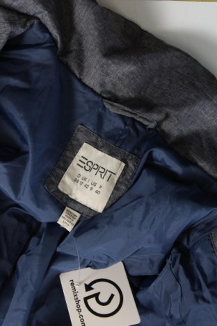 Γυναικείο μπουφάν Esprit, Μέγεθος M, Χρώμα Μπλέ, Τιμή 26,44 €