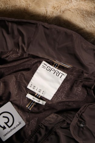 Дамско яке Esprit, Размер XS, Цвят Кафяв, Цена 48,75 лв.