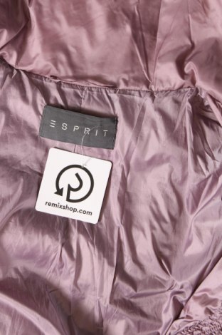 Γυναικείο μπουφάν Esprit, Μέγεθος XS, Χρώμα Βιολετί, Τιμή 30,15 €