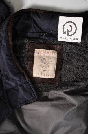 Γυναικείο μπουφάν Esprit, Μέγεθος M, Χρώμα Μπλέ, Τιμή 19,95 €