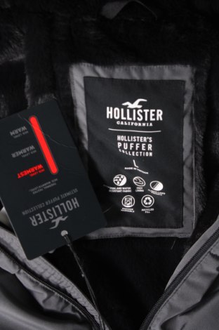 Γυναικείο μπουφάν Hollister, Μέγεθος L, Χρώμα Γκρί, Τιμή 53,20 €
