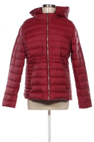 Damenjacke Tommy Hilfiger, Größe XL, Farbe Rot, Preis 161,99 €