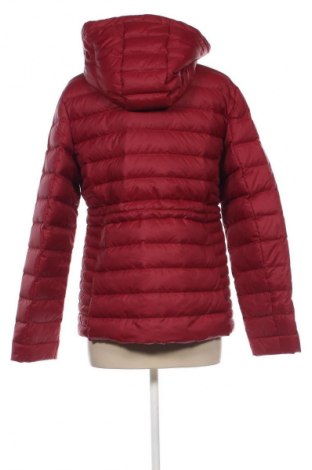 Damenjacke Tommy Hilfiger, Größe XL, Farbe Rot, Preis 173,99 €