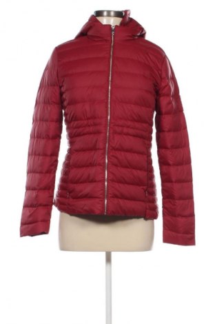 Damenjacke Tommy Hilfiger, Größe S, Farbe Rot, Preis 125,99 €