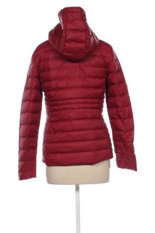 Damenjacke Tommy Hilfiger, Größe S, Farbe Rot, Preis € 125,99