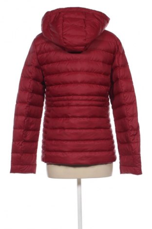 Damenjacke Tommy Hilfiger, Größe L, Farbe Rot, Preis 127,99 €