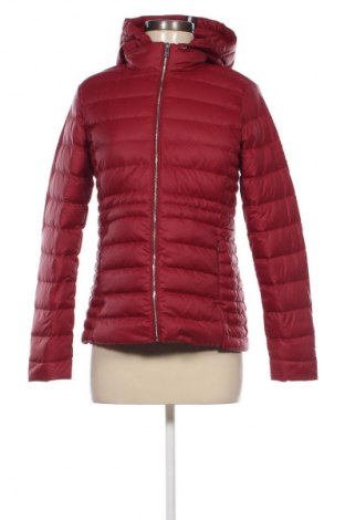 Damenjacke Tommy Hilfiger, Größe XS, Farbe Rot, Preis € 127,49