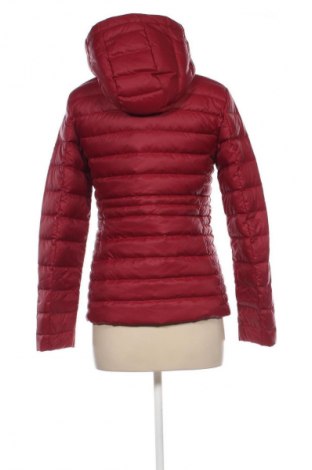 Damenjacke Tommy Hilfiger, Größe XS, Farbe Rot, Preis 125,99 €