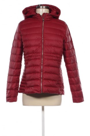 Damenjacke Tommy Hilfiger, Größe M, Farbe Rot, Preis 125,99 €