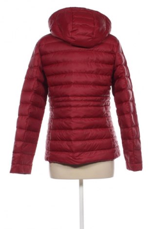 Damenjacke Tommy Hilfiger, Größe M, Farbe Rot, Preis 127,99 €