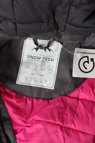 Dámská bunda pro zimní sporty  SnowTech, Velikost L, Barva Šedá, Cena  818,00 Kč