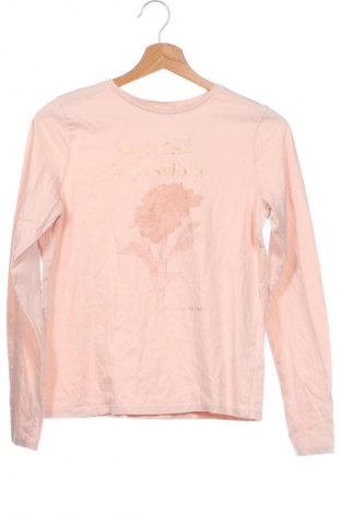 Детска блуза H&M, Размер 14-15y/ 168-170 см, Цвят Розов, Цена 15,00 лв.