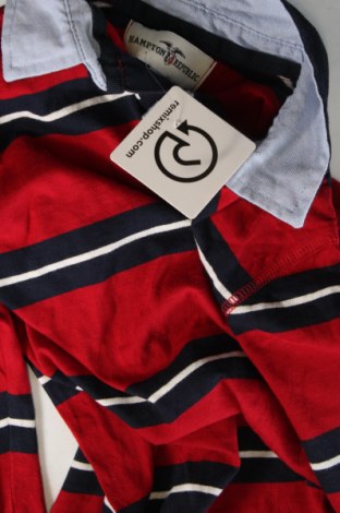 Kinder Shirt Hampton Republic, Größe 10-11y/ 146-152 cm, Farbe Mehrfarbig, Preis 7,66 €