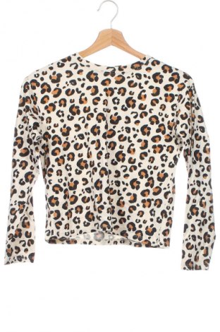 Παιδική μπλούζα Zara, Μέγεθος 11-12y/ 152-158 εκ., Χρώμα Πολύχρωμο, Τιμή 4,33 €