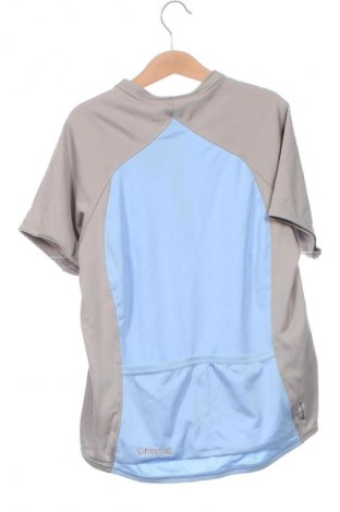 Kinder T-Shirt, Größe 8-9y/ 134-140 cm, Farbe Blau, Preis € 3,90