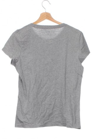 Kinder T-Shirt Aeropostale, Größe 15-18y/ 170-176 cm, Farbe Grau, Preis 7,74 €