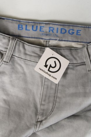 Dziecięce jeansy Blue Ridge, Rozmiar 15-18y/ 170-176 cm, Kolor Szary, Cena 29,68 zł