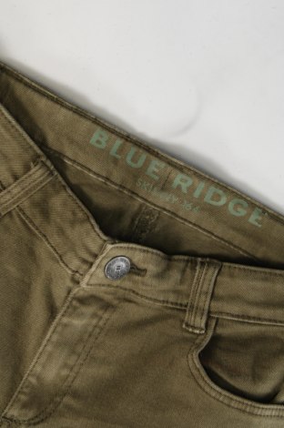 Dziecięce jeansy Blue Ridge, Rozmiar 13-14y/ 164-168 cm, Kolor Zielony, Cena 40,94 zł