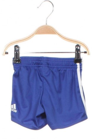 Pantaloni scurți pentru copii Adidas, Mărime 9-12m/ 74-80 cm, Culoare Albastru, Preț 30,03 Lei