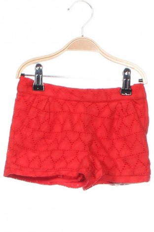 Παιδικό κοντό παντελόνι Chicco, Μέγεθος 18-24m/ 86-98 εκ., Χρώμα Κόκκινο, Τιμή 4,33 €