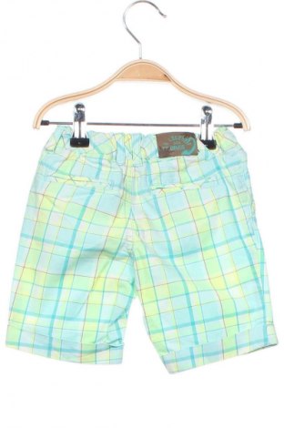 Pantaloni scurți pentru copii Sergent Major, Mărime 2-3y/ 98-104 cm, Culoare Multicolor, Preț 32,92 Lei