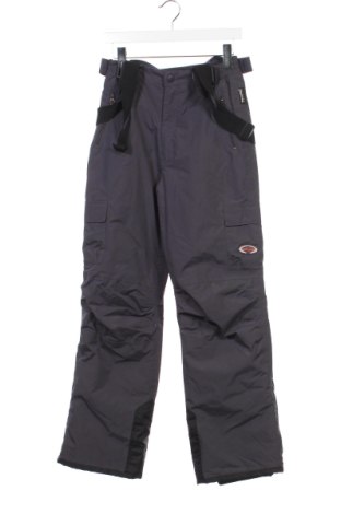 Детски панталон за зимни спортове Alive, Размер 12-13y/ 158-164 см, Цвят Сив, Цена 20,90 лв.
