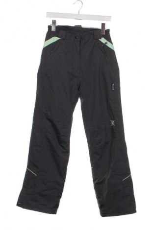 Pantaloni pentru copii pentru sporturi de iarnă Alive, Mărime 12-13y/ 158-164 cm, Culoare Gri, Preț 86,84 Lei