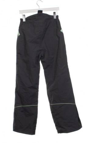 Pantaloni pentru copii pentru sporturi de iarnă Alive, Mărime 12-13y/ 158-164 cm, Culoare Gri, Preț 86,84 Lei