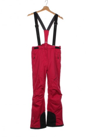 Παιδικό παντελόνι για χειμερινά σπορ Whistler, Μέγεθος 13-14y/ 164-168 εκ., Χρώμα Ρόζ , Τιμή 19,30 €