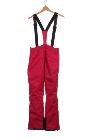 Παιδικό παντελόνι για χειμερινά σπορ Whistler, Μέγεθος 13-14y/ 164-168 εκ., Χρώμα Ρόζ , Τιμή 18,33 €