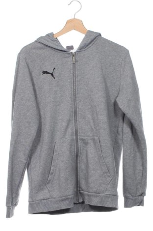 Kinder Sweatshirts PUMA, Größe 14-15y/ 168-170 cm, Farbe Grau, Preis 31,31 €
