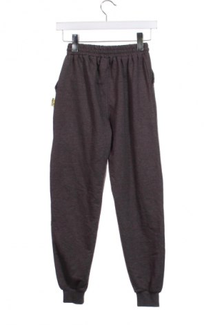 Pantaloni de trening, pentru copii, Mărime 14-15y/ 168-170 cm, Culoare Gri, Preț 31,25 Lei