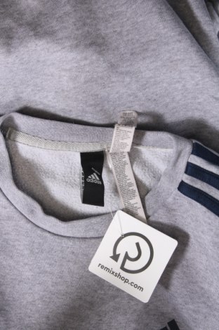 Herren Shirt Adidas, Größe S, Farbe Grau, Preis € 23,66
