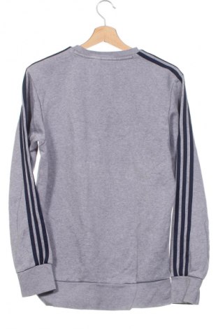 Herren Shirt Adidas, Größe S, Farbe Grau, Preis 23,66 €
