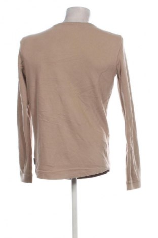 Herren Shirt Bershka, Größe L, Farbe Beige, Preis 5,99 €