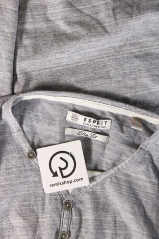 Herren Shirt Esprit, Größe S, Farbe Grau, Preis € 10,33