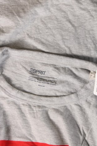 Pánske tričko  Esprit, Veľkosť XL, Farba Sivá, Cena  8,42 €