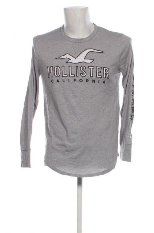 Herren Shirt Hollister, Größe S, Farbe Grau, Preis € 6,58