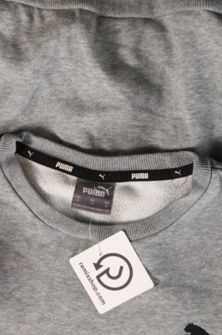 Herren Shirt PUMA, Größe S, Farbe Grau, Preis 23,66 €