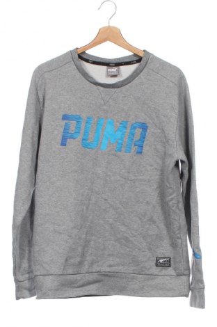 Ανδρική μπλούζα PUMA, Μέγεθος M, Χρώμα Γκρί, Τιμή 21,03 €