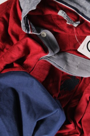 Herren Shirt U.S. Polo Assn., Größe L, Farbe Mehrfarbig, Preis € 15,90