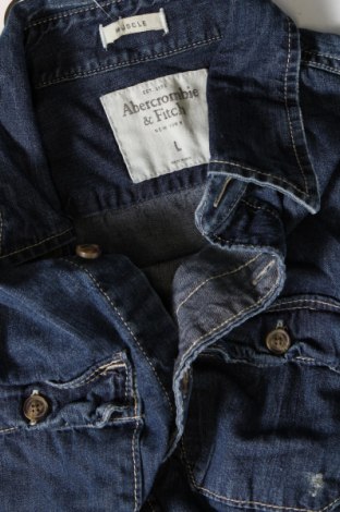 Herrenhemd Abercrombie & Fitch, Größe L, Farbe Blau, Preis € 21,05