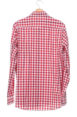 Ανδρικό πουκάμισο Almsach, Μέγεθος L, Χρώμα Πολύχρωμο, Τιμή 9,87 €