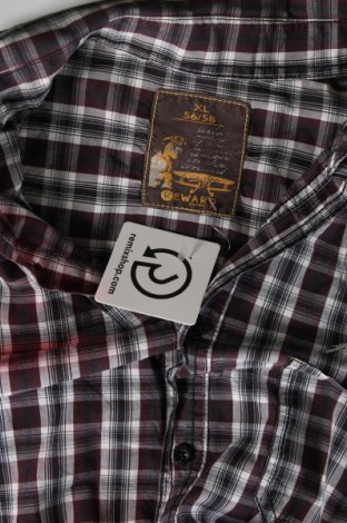 Ανδρικό πουκάμισο Reward, Μέγεθος XL, Χρώμα Πολύχρωμο, Τιμή 10,76 €