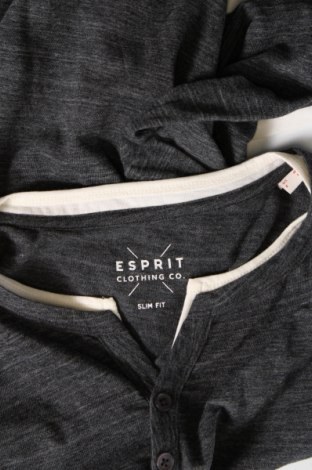 Herren T-Shirt Esprit, Größe M, Farbe Grau, Preis € 9,74